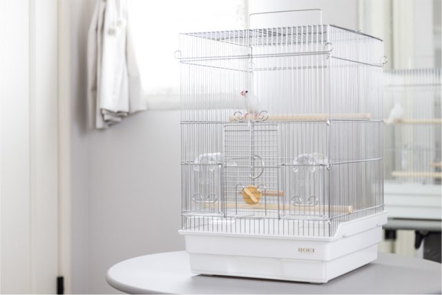 鳥かごについて｜ペット飼育ケージのHOEI｜豊栄金属工業㈱