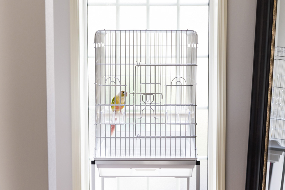 鳥かごについて