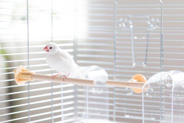 カタログダウンロード