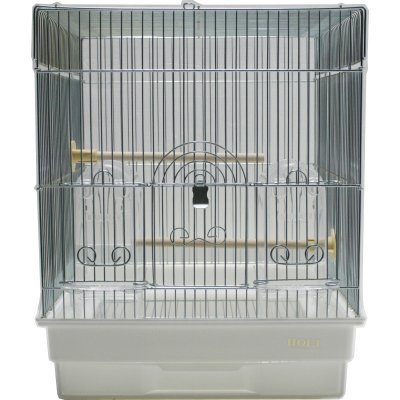 35角G　2入 | ミディアムシリーズ（中型サイズ）