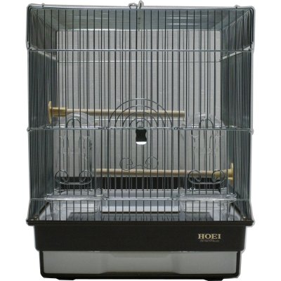 35角G　2入 | ミディアムシリーズ（中型サイズ）