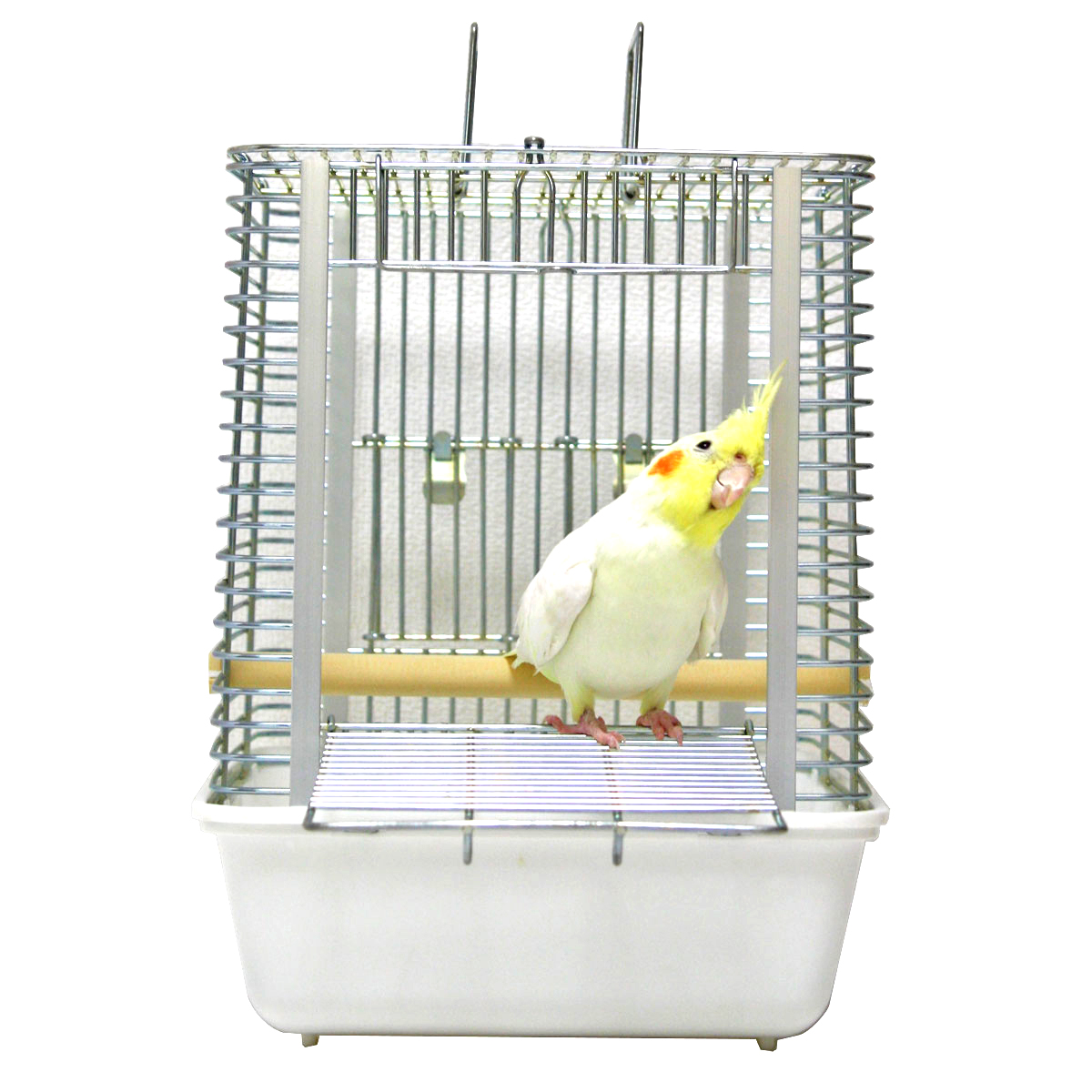 ハートフルキャリー | キャリーシリーズ