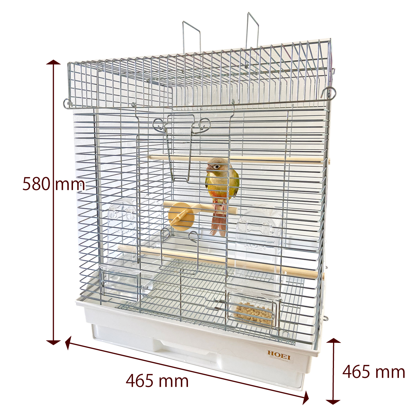 465オカメ | ラージシリーズ（大型サイズ）