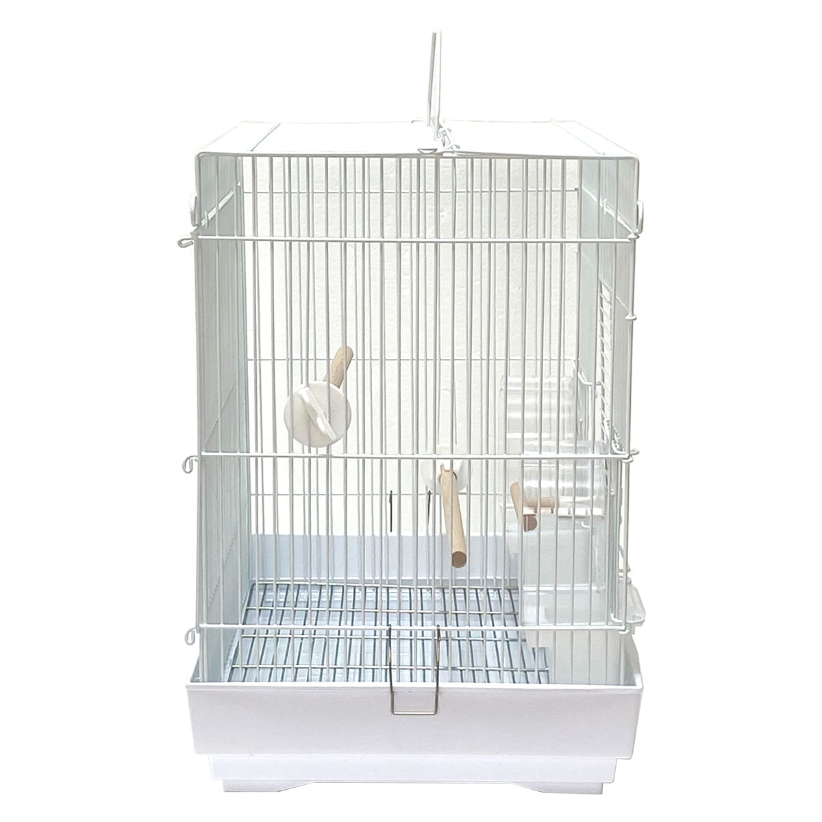 ４０手のりＰ | ミディアムシリーズ（中型サイズ）