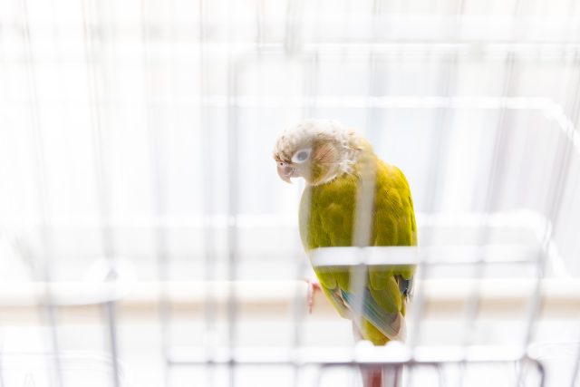 ＨＯＥＩステンレス修理サービス